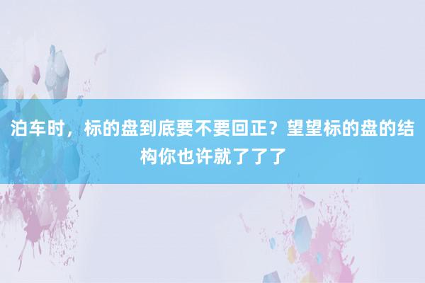 泊车时，标的盘到底要不要回正？望望标的盘的结构你也许就了了了