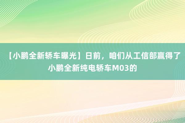 【小鹏全新轿车曝光】日前，咱们从工信部赢得了小鹏全新纯电轿车M03的