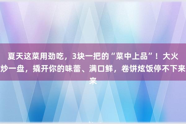 夏天这菜用劲吃，3块一把的“菜中上品”！大火炒一盘，撬开你的味蕾、满口鲜，卷饼炫饭停不下来