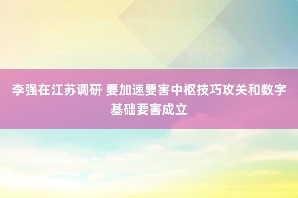 李强在江苏调研 要加速要害中枢技巧攻关和数字基础要害成立