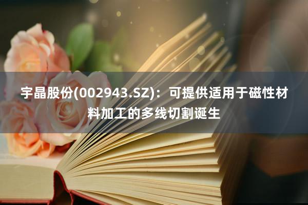 宇晶股份(002943.SZ)：可提供适用于磁性材料加工的多线切割诞生