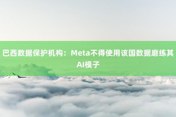 巴西数据保护机构：Meta不得使用该国数据磨练其AI模子