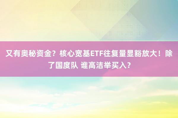 又有奥秘资金？核心宽基ETF往复量显豁放大！除了国度队 谁高洁举买入？