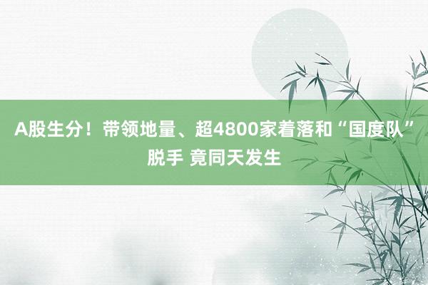 A股生分！带领地量、超4800家着落和“国度队”脱手 竟同天发生