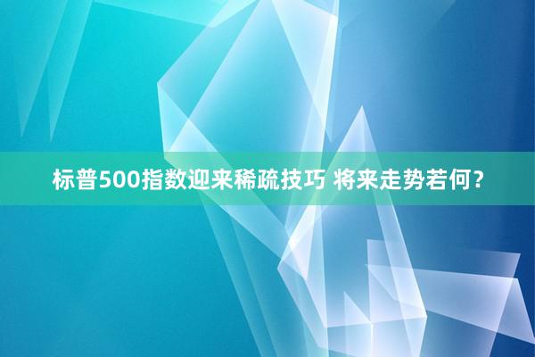 标普500指数迎来稀疏技巧 将来走势若何？