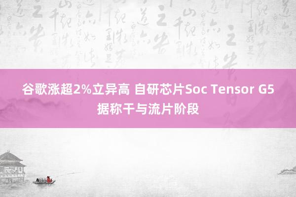 谷歌涨超2%立异高 自研芯片Soc Tensor G5据称干与流片阶段