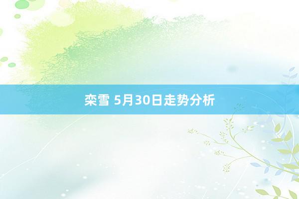 栾雪 5月30日走势分析