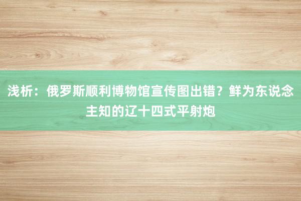 浅析：俄罗斯顺利博物馆宣传图出错？鲜为东说念主知的辽十四式平射炮