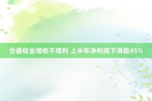 合盛硅业增收不增利 上半年净利润下滑超45%