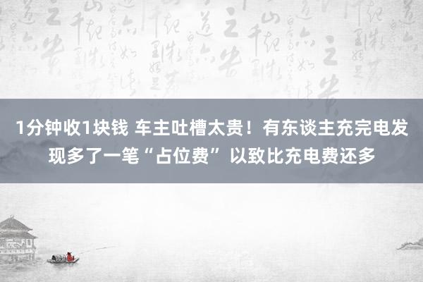 1分钟收1块钱 车主吐槽太贵！有东谈主充完电发现多了一笔“占位费” 以致比充电费还多