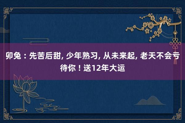 卯兔 : 先苦后甜, 少年熟习, 从未来起, 老天不会亏待你 ! 送12年大运